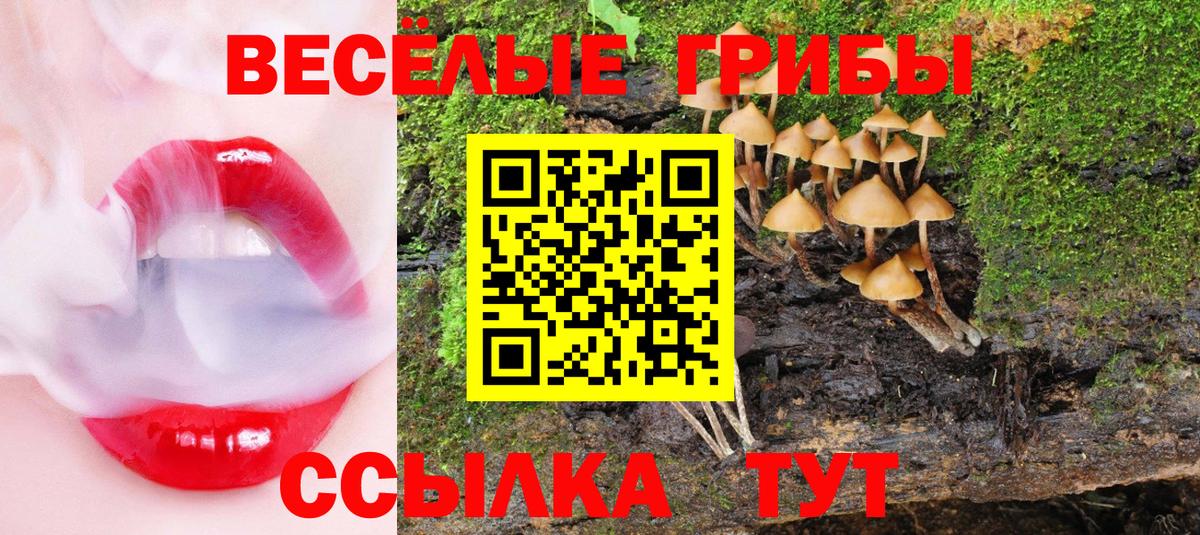 Семёнов  Галлюциногенные грибы Cubensis  Вход с VPN  Галлюциногенные грибы прущие грибы 
