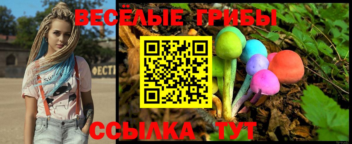 Псилоцибиновые грибы Cubensis Семёнов